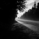 Illustration for article titled Photo Mission Gallery: Black and White